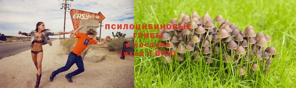 Альфа ПВП Беломорск